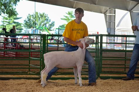 Home - Des Moines County Fair