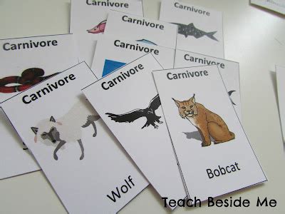 The The Food Chain Game Printable - Teach Beside Me