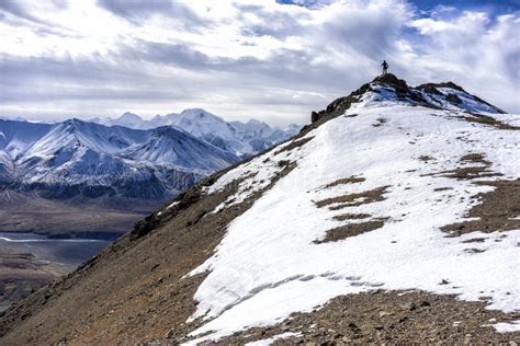 Alaska Denali Hiking stock photo. Image of incentive - 53130074