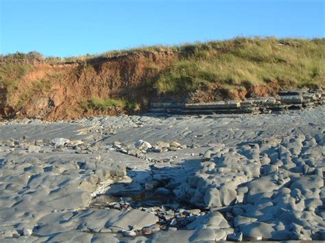 Doniford Bay – UK Fossil Collecting