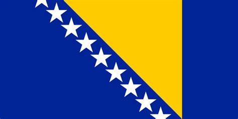 2016 Yaz Olimpiyatları'nda Bosna-Hersek - Vikipedi