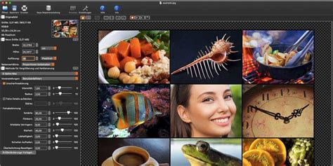 Test: Photozoom Pro 8 – Sinnvolle Verbesserungen im Detail - Macwelt