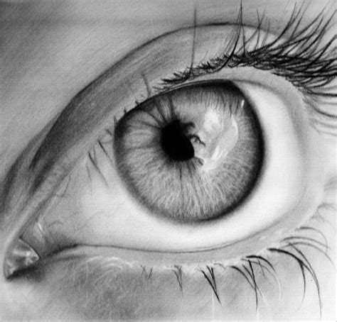 Eye Drawing Template