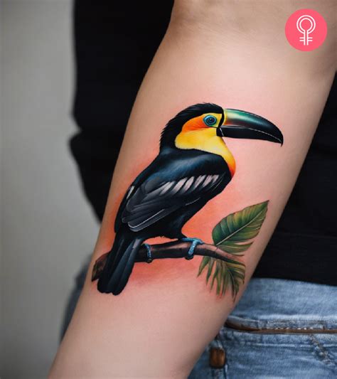 8 Stunning Toucan Tattoo Designs With Meaning