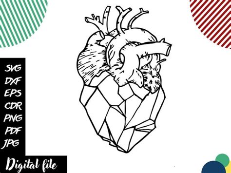 Anatomy Heart Vector Human Heart Svg Geometric Heart Clipart | Etsy