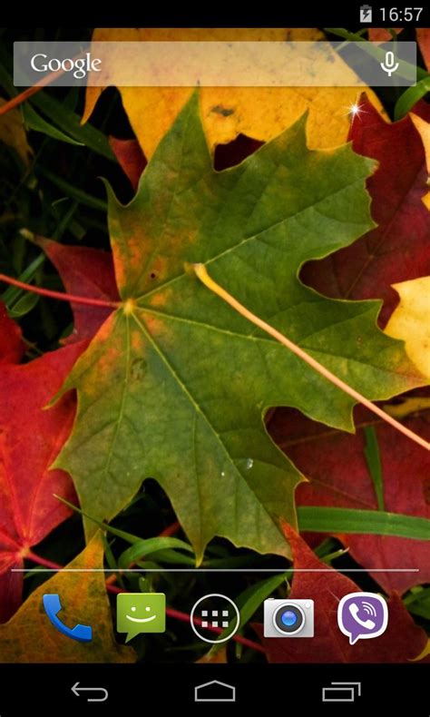 Autumn Leaves Live Wallpaper APK for Android Download