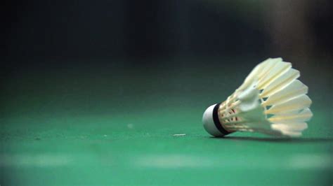 Birdie In Flight: The Science of Badminton - Science Friday