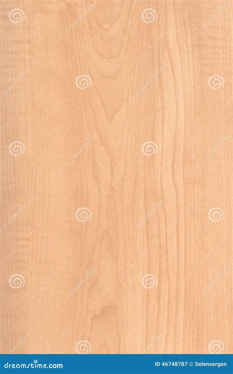 Maple Wood Texture stock image. Image of background, surface - 46748787