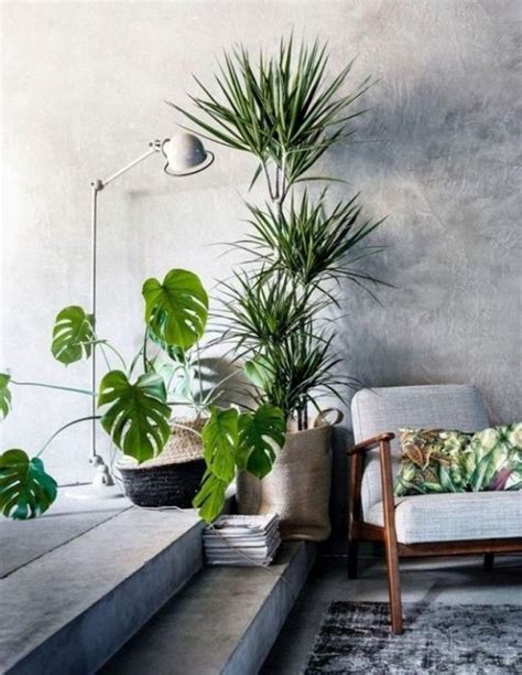 FIND: 15 Incredible Indoor Plants Decor Ideas | Simdreamhomes