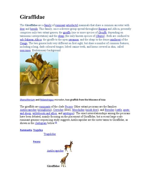 Giraffidae 1 | PDF | Mammal Families | Mammal Ecology