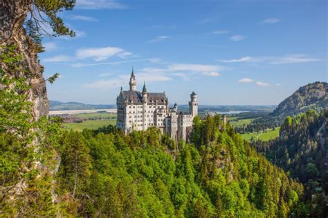 Neuschwanstein Castle HD, Bavaria, Castle, Germany, HD Wallpaper | Rare Gallery