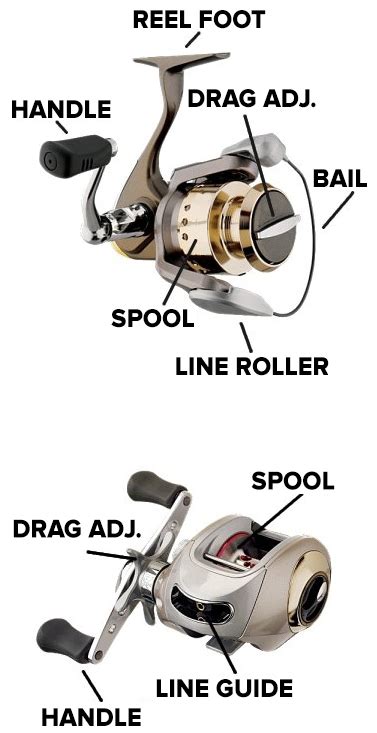 Fishing Gear 101 - Reels | Englund Marine & Industrial Supply