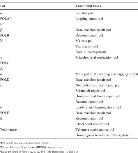 Table 1 from Eukaryotic DNA polymerases. | Semantic Scholar