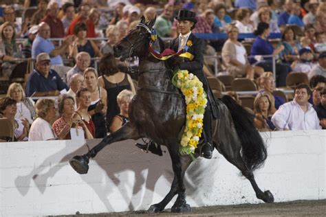 Monty Roberts Reaffirms Commitment to End Soring as Tennessee Walking ...