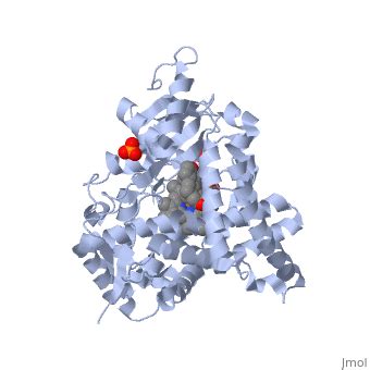 Aromatase - Proteopedia, life in 3D