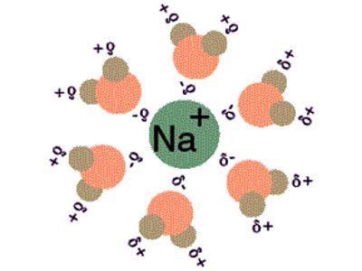 Solvation in Chemistry - Assignment Point