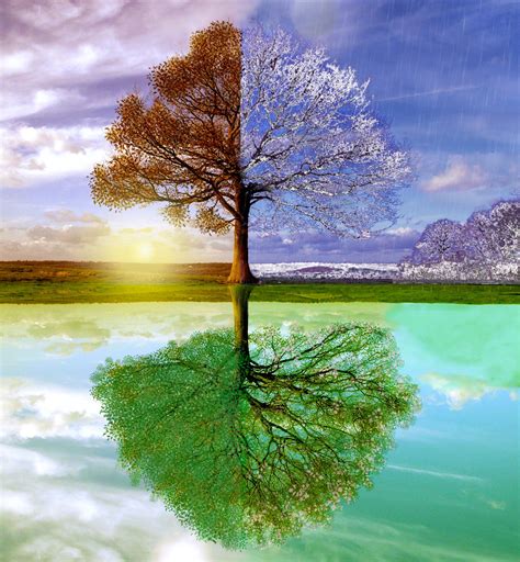 Changing seasons 2 | Seasons art, Landscape art, Tree photoshop