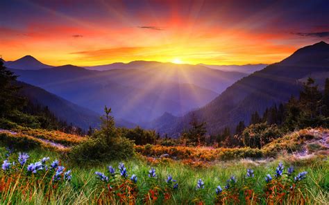 Mountains sunset sun landscape panorama wallpaper | 1920x1200 | 67205 ...