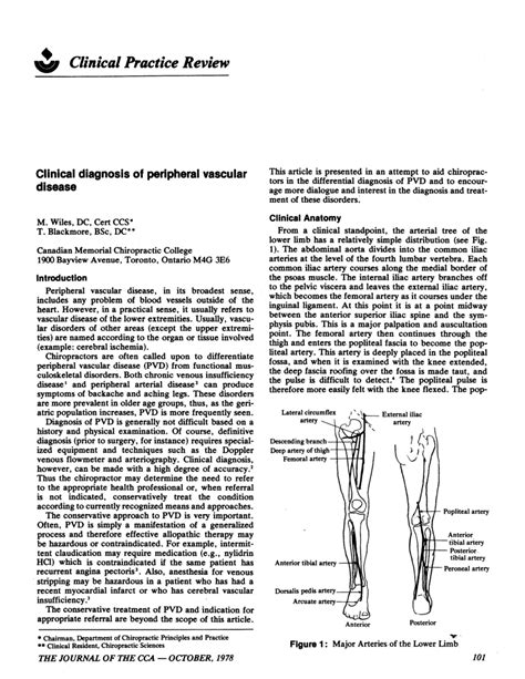 (PDF) Clinical diagnosis of peripheral vascular disease