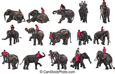 Mahout Vector Clipart EPS Images. 27 Mahout clip art vector illustrations available to search ...