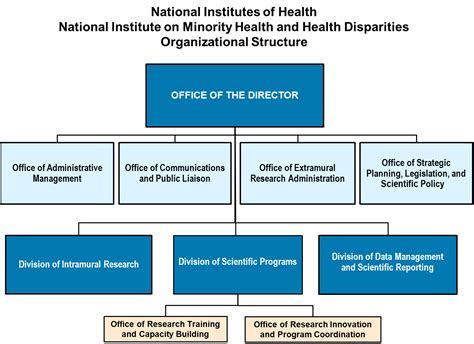 Organizational Chart