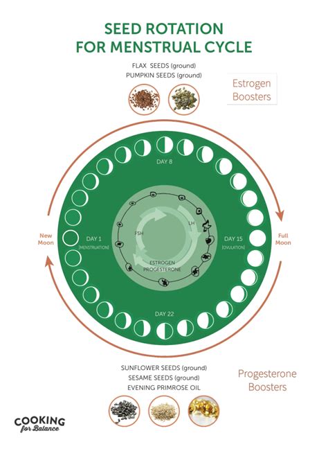 Seed Cycling to Balance Pre & Post Menopausal Hormones - Dr. Jolene ...