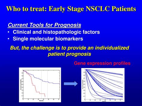 PPT - Evolution in Thoracic Oncology: Genomics and Treatment for Early Stage NSCLC PowerPoint ...