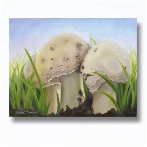 Toadstool Art PRINT of an Original Painting of Three Colorful - Etsy