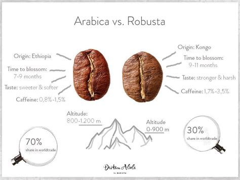 Arabica vs Robusta | Coffee beans, Coffee infographic, Robusta coffee