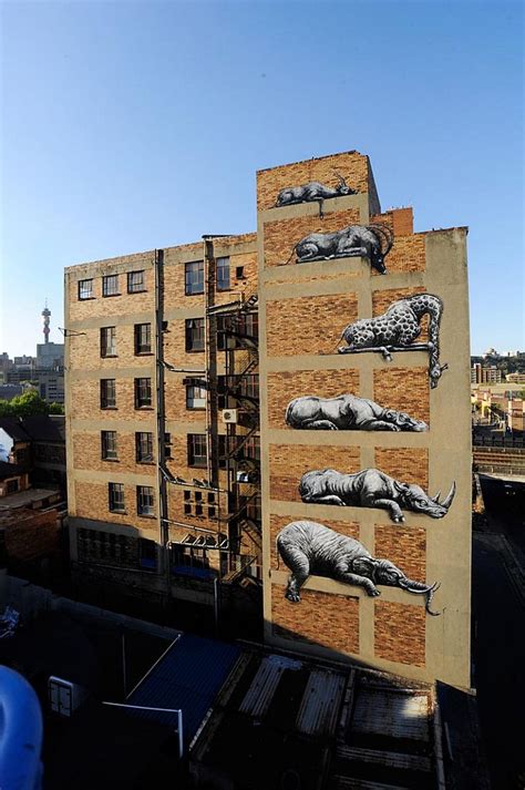 ROA Does Joburg | Street art, Best street art, 3d street art