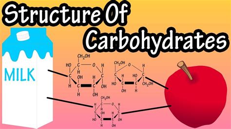 Carbohydrates Structure