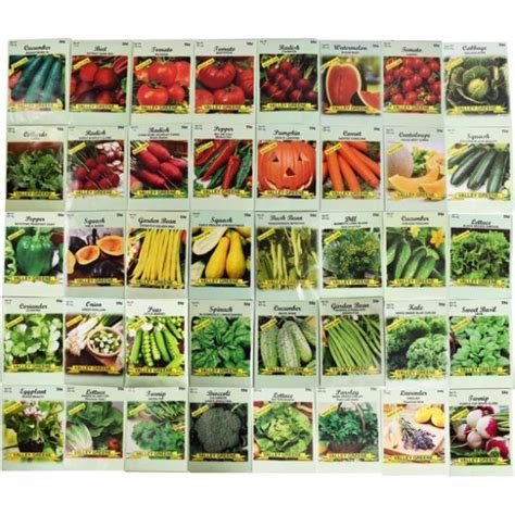 Set of 40 Heirloom Vegetable Garden Seeds - Heirloom Vegetable Garden Seeds - 100% Non-GMO ...