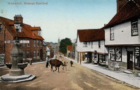 Bishop's Stortford | Bishop's Stortford | Herts Memories