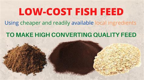 Low Cost Fish Feed| Catfish Feed Formulation - YouTube