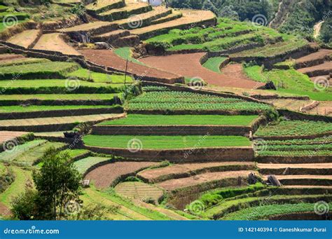 Poombarai Village and Terraced Farming in Kodaikanal Stock Photo - Image of country, blue: 142140394