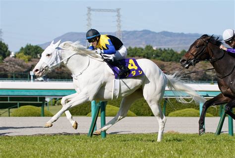 HORSE RACING | Sodashi Bests Field in Oka Sho, Becomes First White Thoroughbred to Win a JRA ...