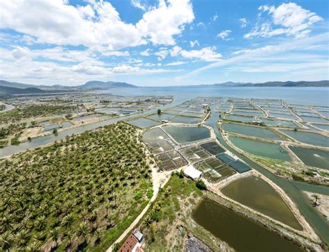 How to Start Shrimp Farming - The Web Tribune