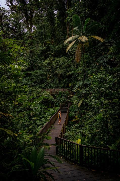 guadeloupe national park | Bucketlist Bri