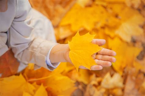 Premium Photo | Children in the park with autumn leaves. selective focus.