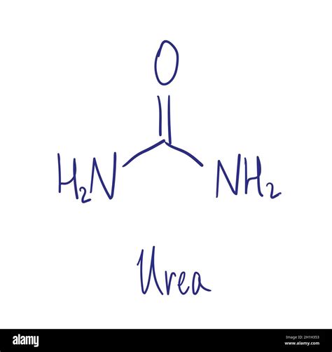 Urea chemical structure. Vector illustration Hand drawn Stock Vector Image & Art - Alamy