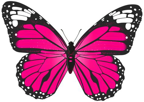 Transparent Butterfly Clipart | Free download on ClipArtMag