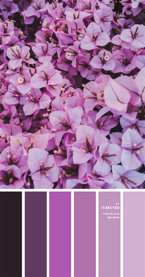 Lilac and Purple Colour Scheme– Colour Palette #40 I Take You | Wedding Readings | Wedding Ideas ...