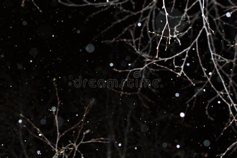 Falling snow in the night stock image. Image of crystal - 106451509