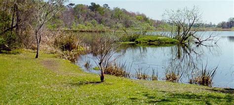 Lake Alice - Architecture of the University of Florida (Gainesville, Florida)