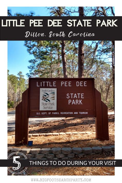 Little Pee Dee State Park: 5 Things to Do During Your Visit | State parks, Sc state parks, State ...