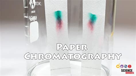 Paper Chromatography | Science Project - YouTube