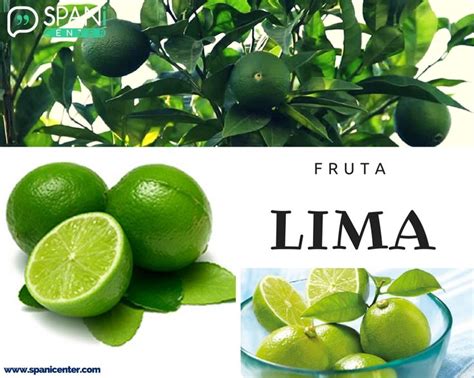 #Lima #Fruit #Fruta #LearnSpanish | Learning spanish, Teaching spanish, Fruit