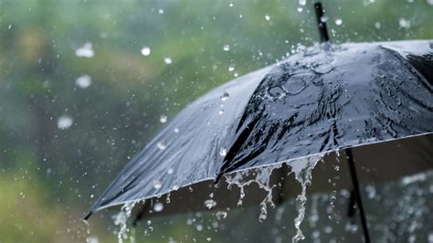 Wild weather in Queensland as 493mm deluge triggers flash flooding ...