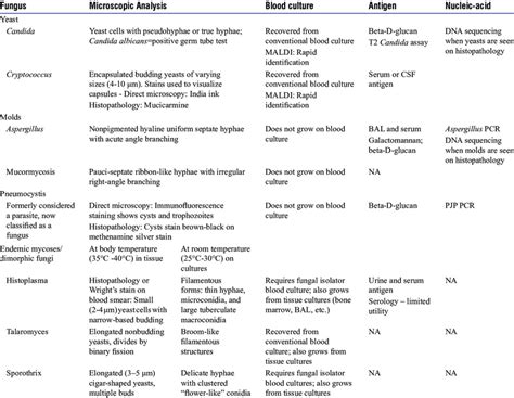 Microbiological diagnosis of invasive fungal infections | Download Scientific Diagram