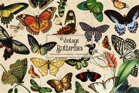 200 Vintage Butterflies Clipart